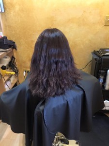 hairstyling billings mt